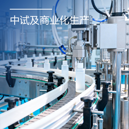 中试及商业化生产
